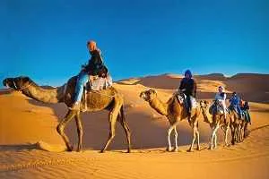 Camel Ride Dubai | Experience the Arabian Desert in Style